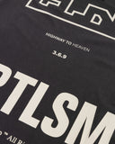 UNDERGOLD TSHIRT SPRING ASCENSION VINTAGE GRAY