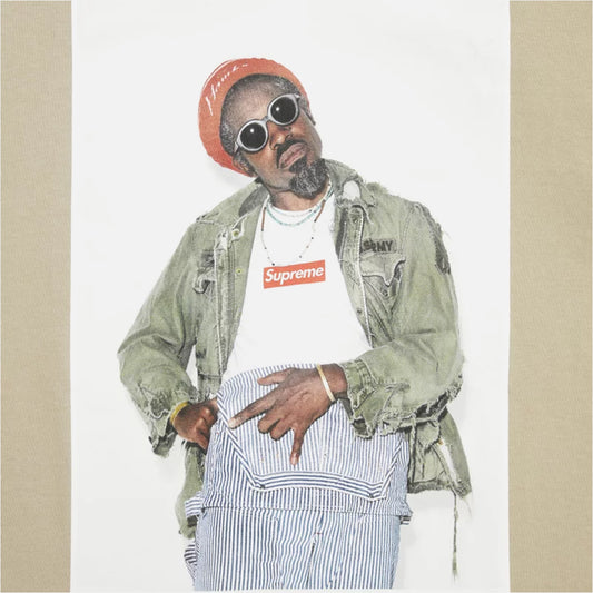 SUPREME ANDRE 3000 T-SHIRT STONE