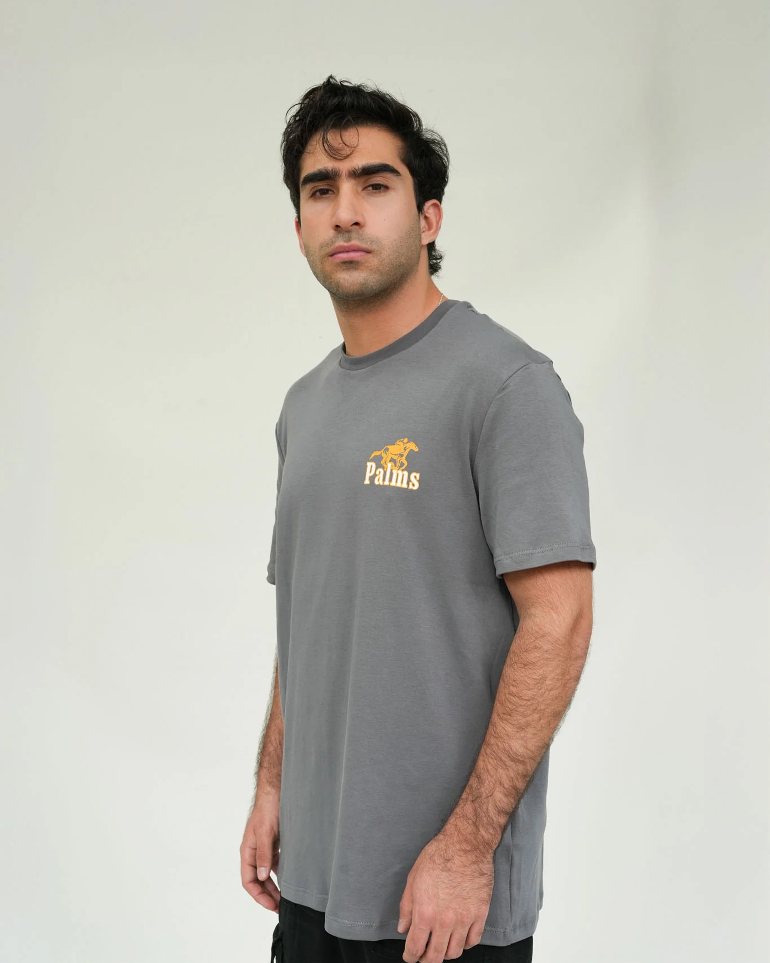 PALMS CAPRA HORSE STAMP T-SHIRT GREY