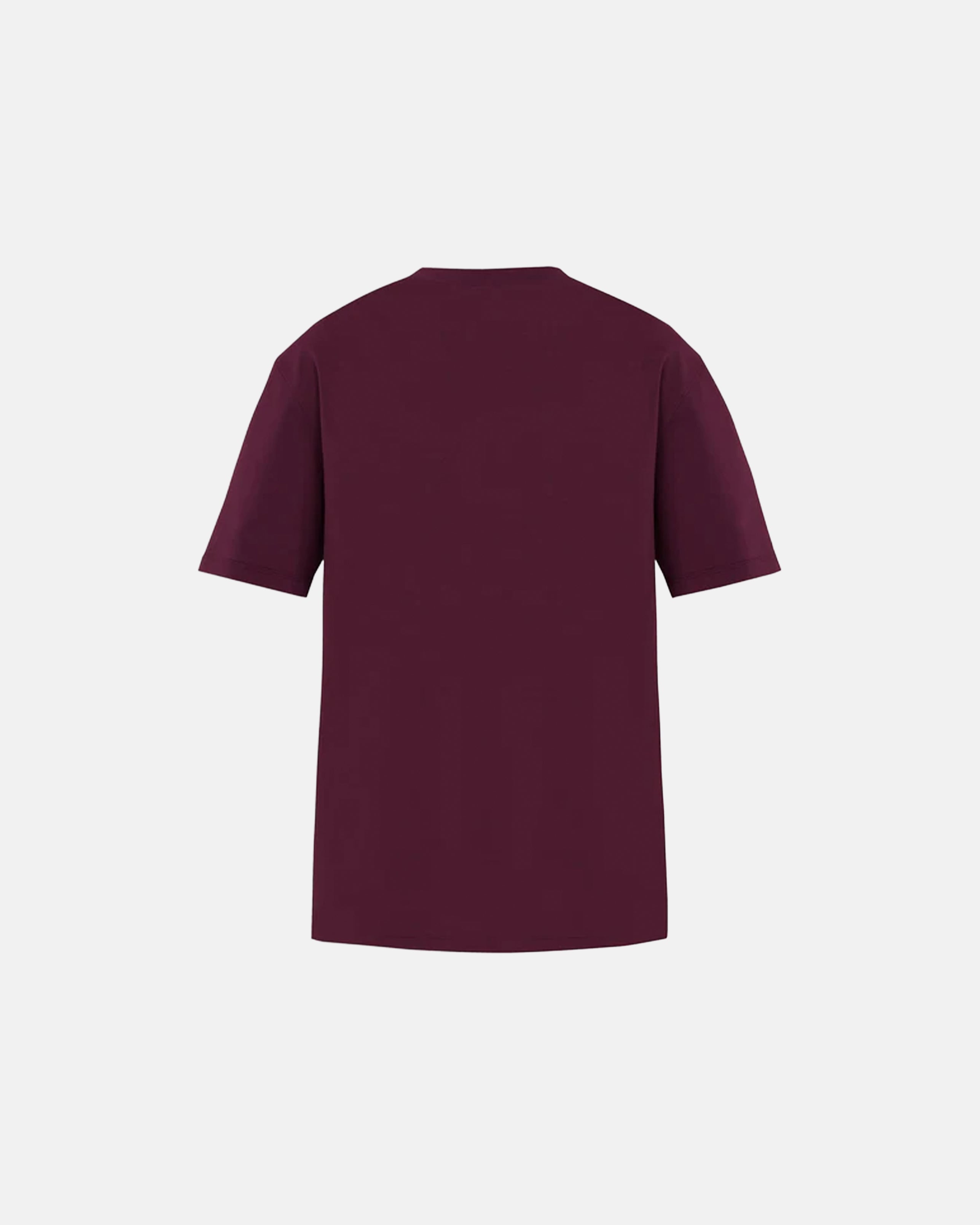 REMANENCE RELAXED FIT CLING TSHIRT – UVA