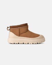 Chestnut / Whitecap
