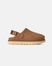 Chestnut