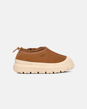 Chestnut / Whitecap